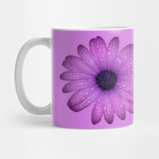 Purple Blue-Eyed Daisy And Raindrops Isolated Mug